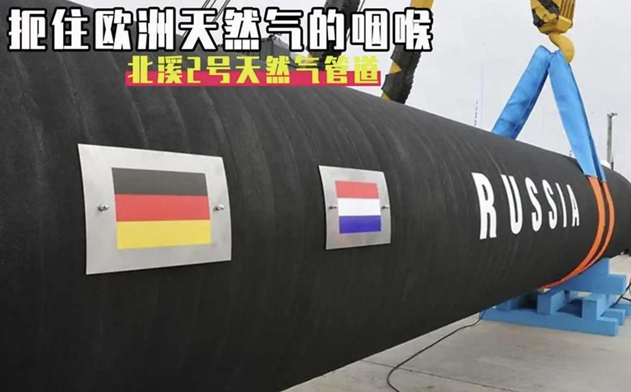 德国与俄罗斯的关系迎来转机。

俄罗斯卫星通讯社11月18日报道，德国宪法和主权