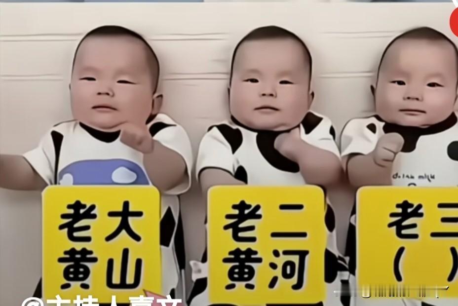 有一对姓黄的夫妻，一口气生了三胞胎，全是带把的小男孩。
给娃起名的时候可费了老鼻