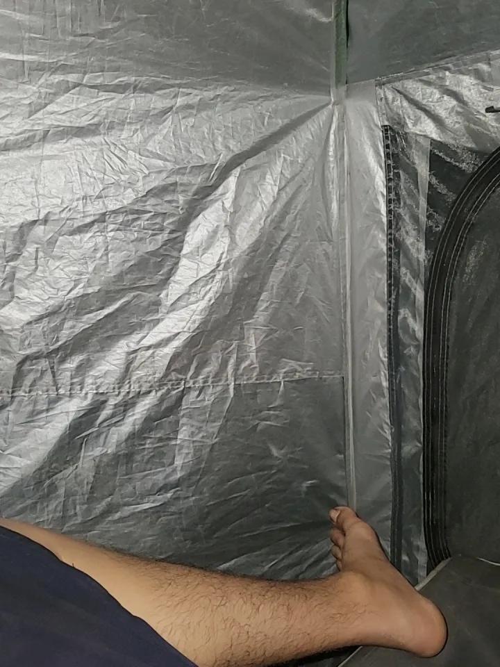 这两天不是荔枝给我打电话，就是我老爸给我打电话，老爸给我打电话，问我为什么有家不