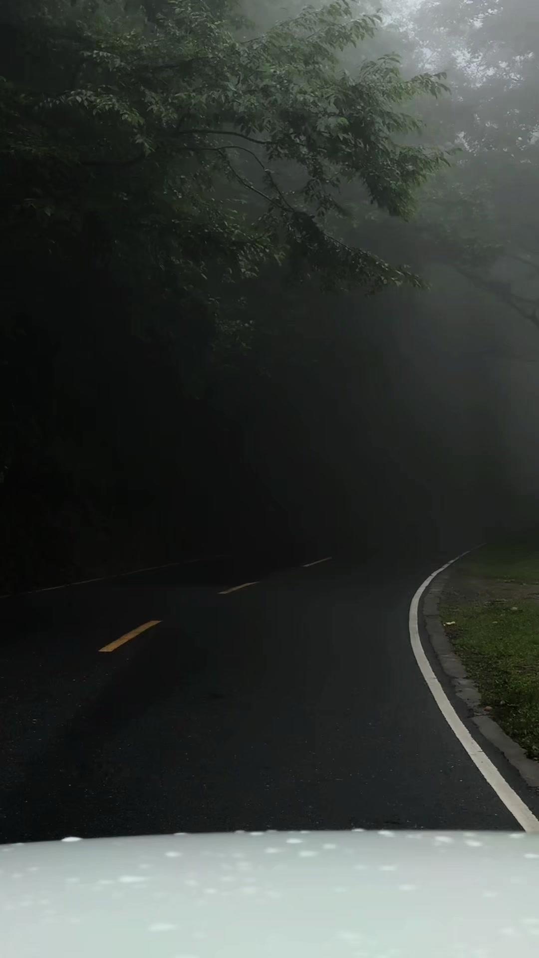 1️⃣刚进山就被拿捏：路两旁的树挂着水珠，雾气在山间飘来飘去，远处的山只露出一点
