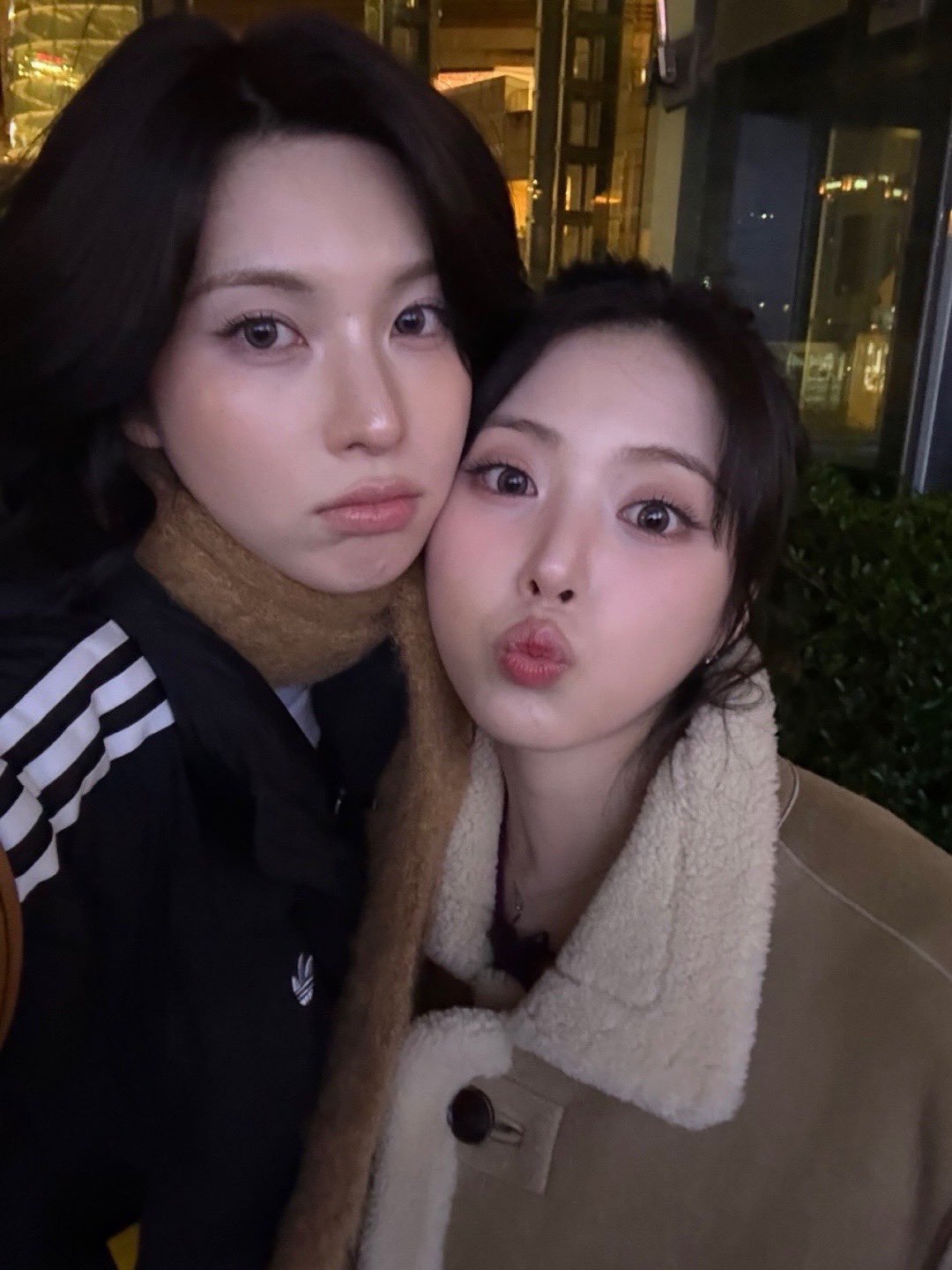 她俩合照老给我一种好好过日子的感觉 