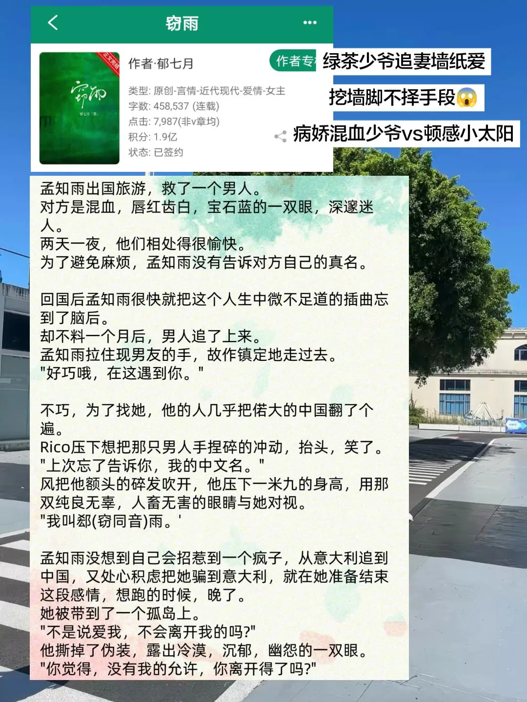 小太阳女主意外招惹了病娇太子爷后被黏上了！男主狠狠墙纸爱