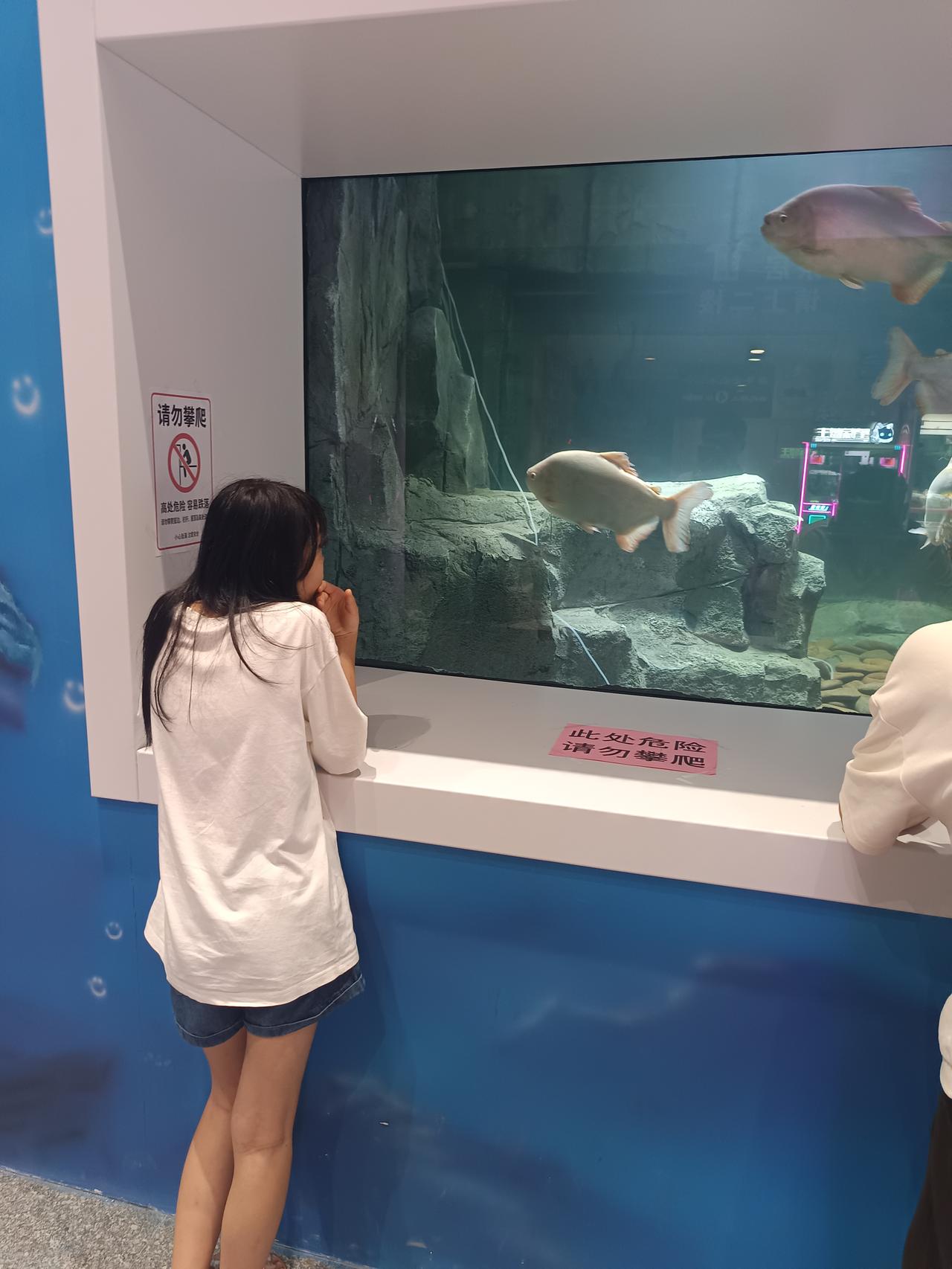 我在肇庆海洋馆
发现一个很严重的问题
但不知道怎么说才好



你敢相信吗？这里