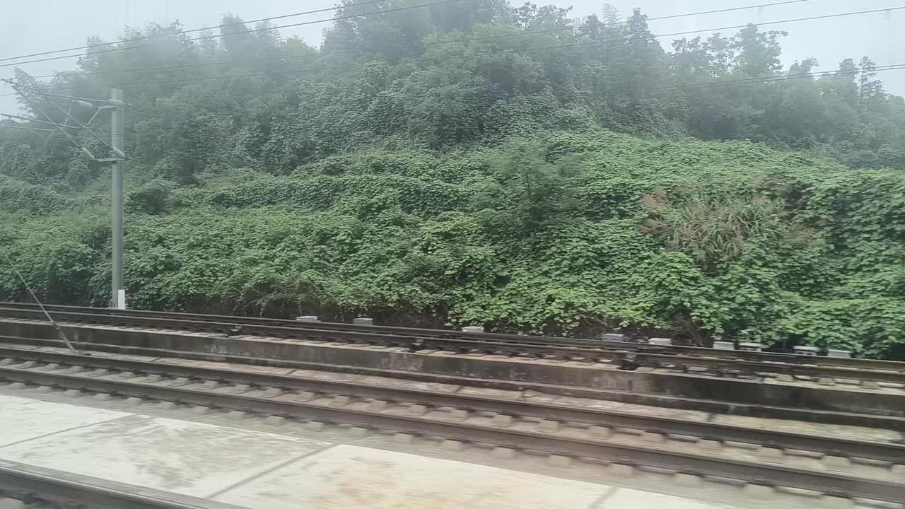 🚄车进岳阳东站，人来人往真热闹。恰逢和谐号启动发车，速度真快，你方唱罢我登台，