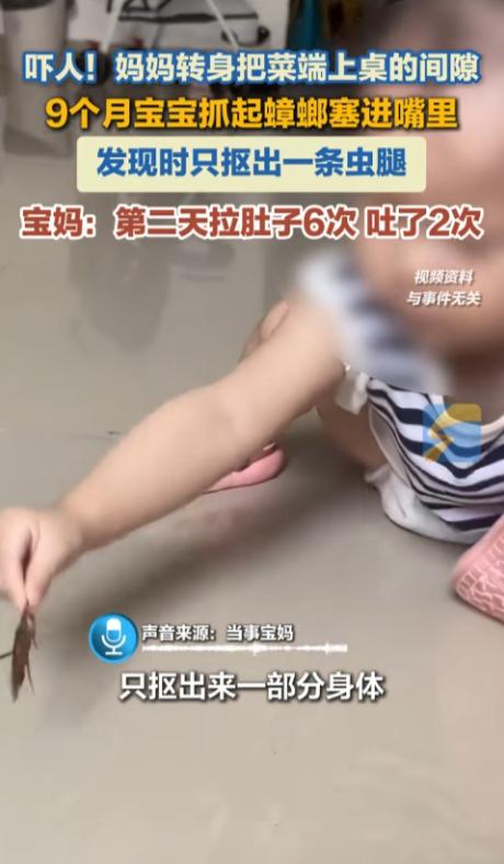 湖南，一宝妈转身把菜端上桌去拿勺子的工夫，9个月的宝宝不知从哪抓了只蟑螂塞进嘴里