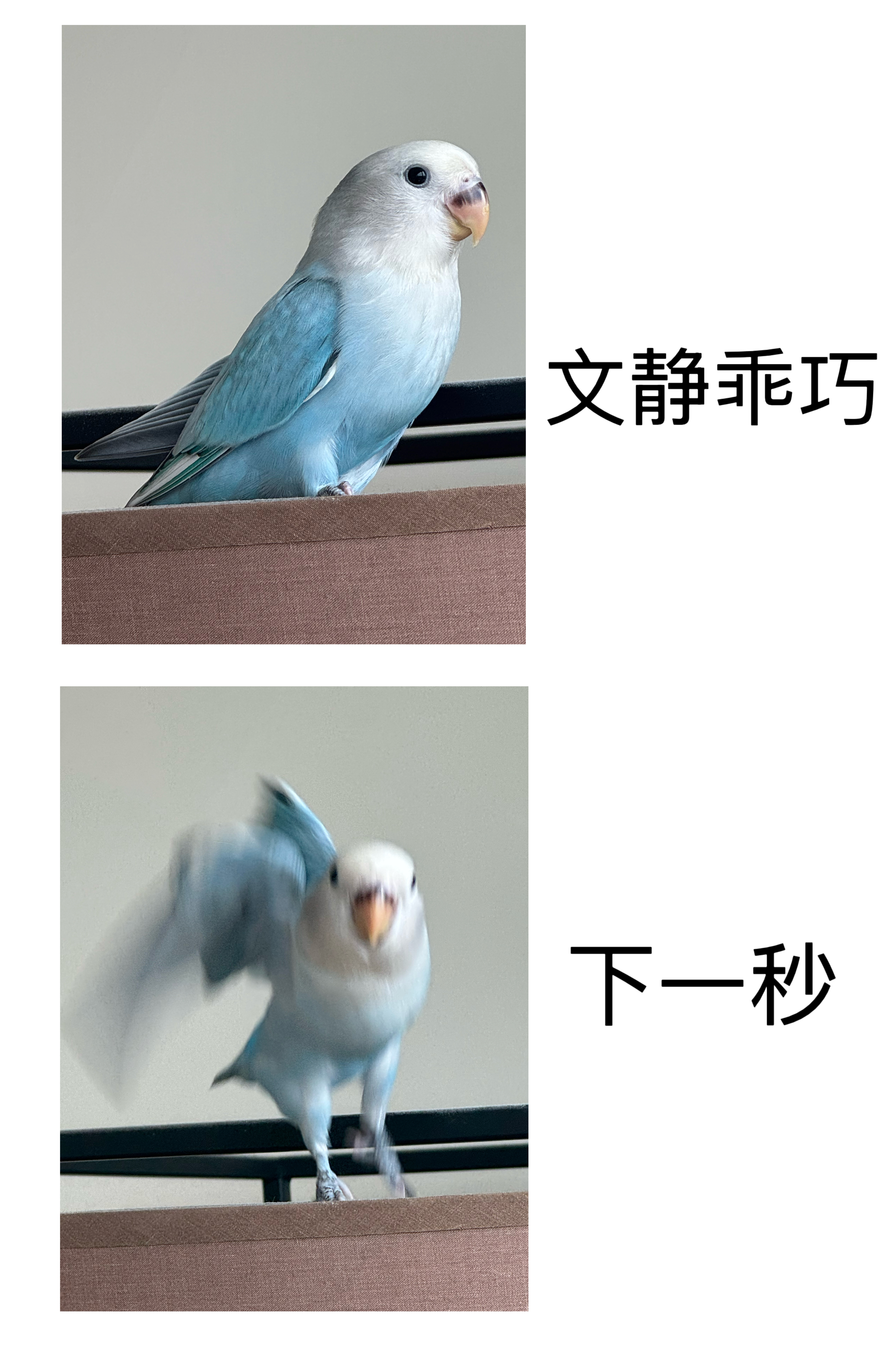 孩子喜动