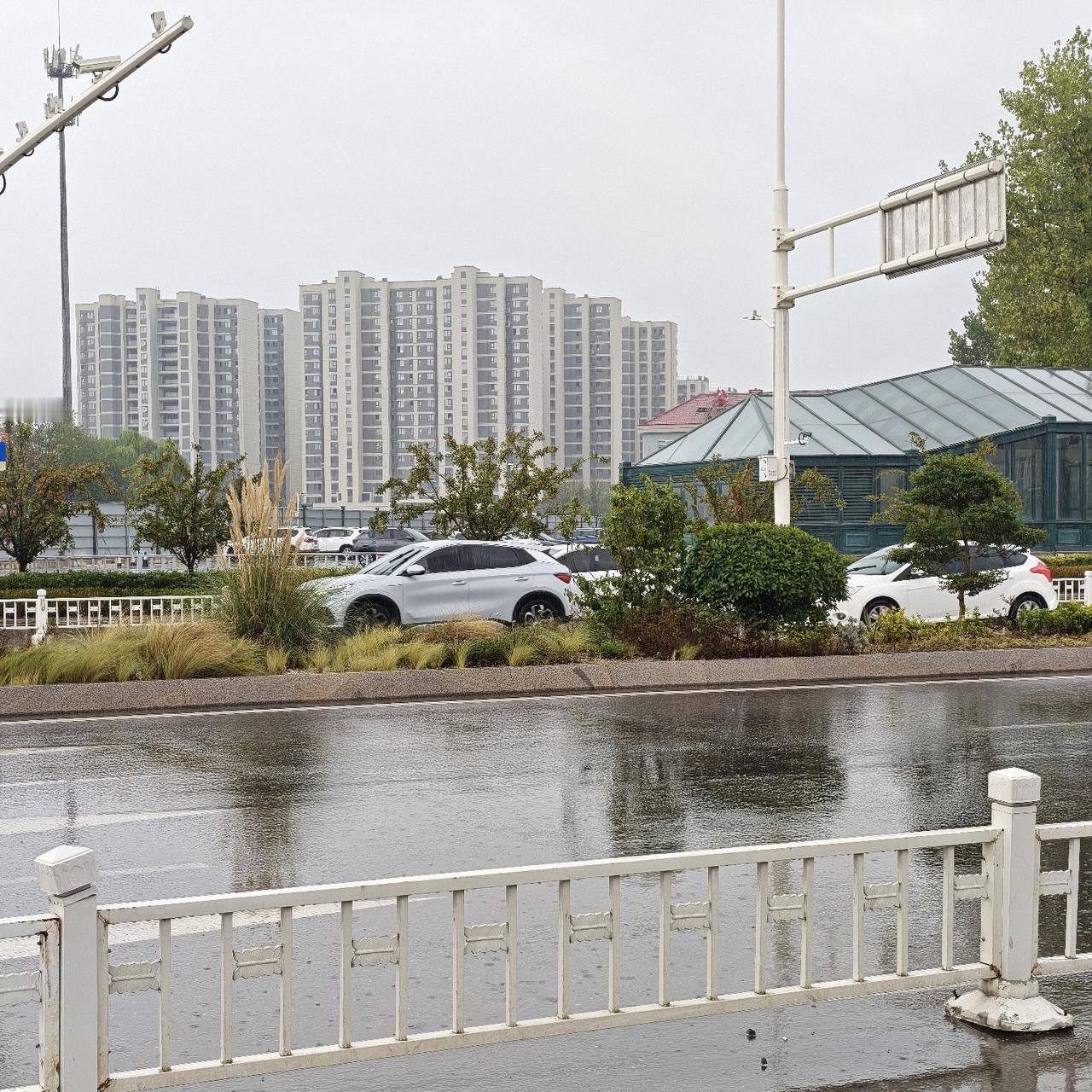 这一路上遇到好多人都在感慨，这场雨下得好。
你说，这是一场好雨吗？