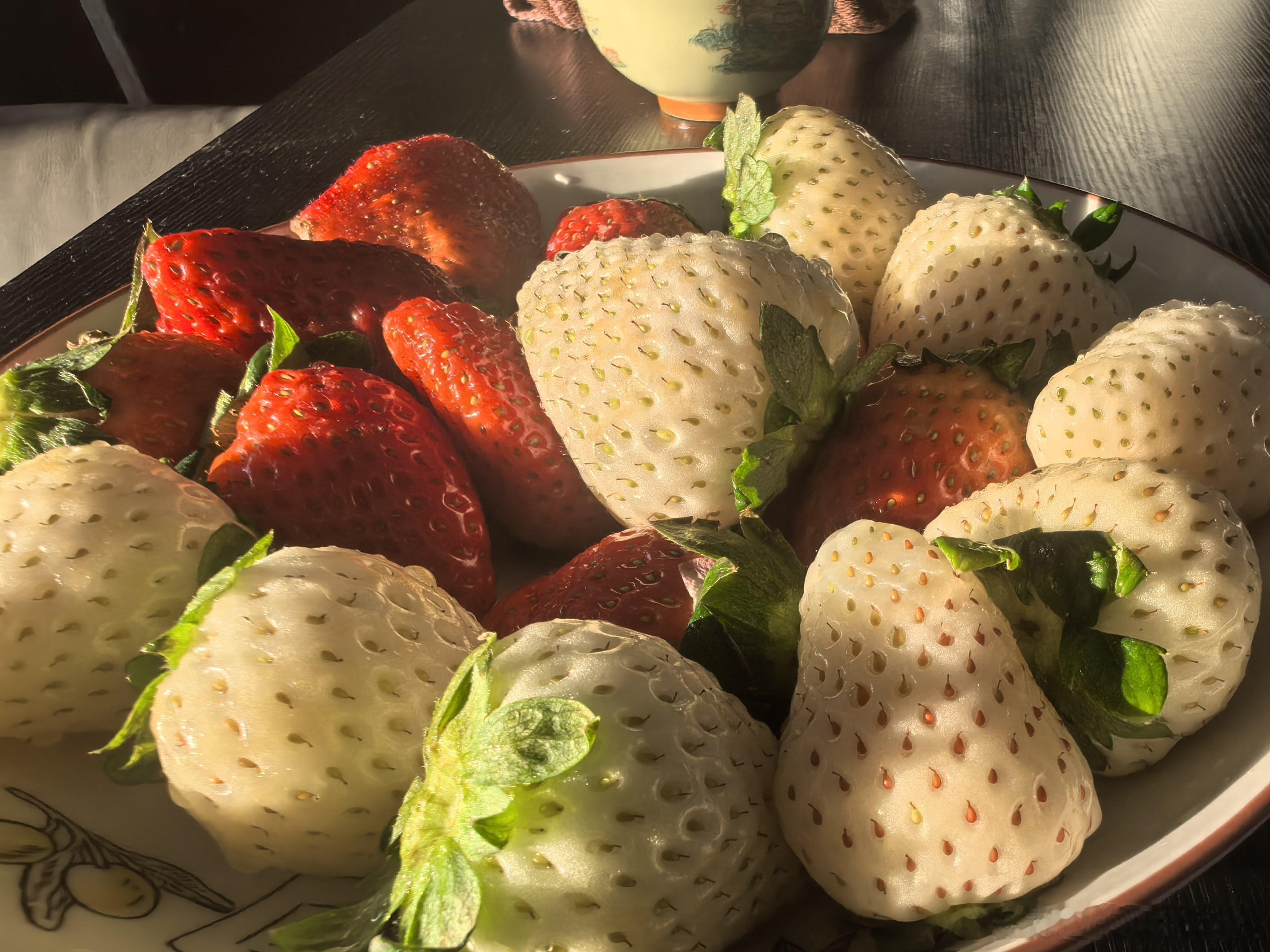 幸福感爆棚，因为我的第一次 深圳