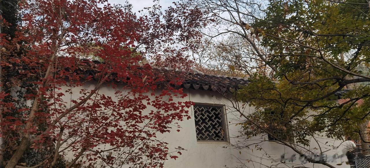 早上好！弗洛伊德说，假如人生活在一种无力改变的痛苦中，就会转而爱上这种痛苦，把它