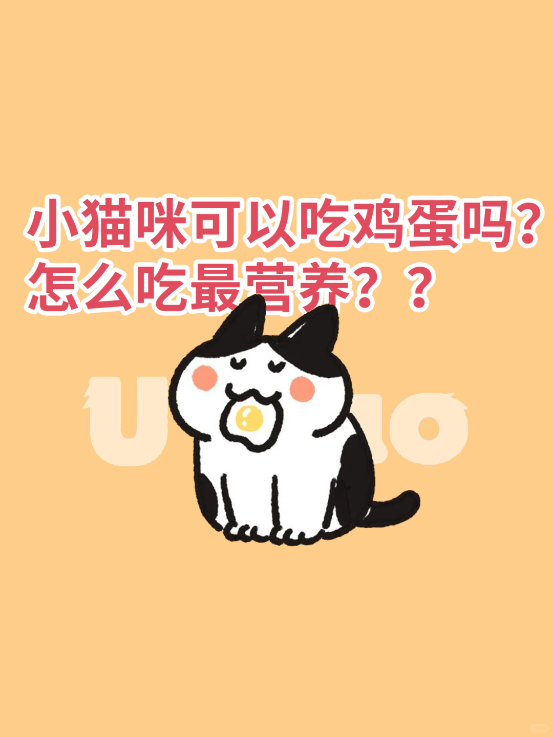 小猫咪可以吃鸡蛋吗？怎么吃最营养？