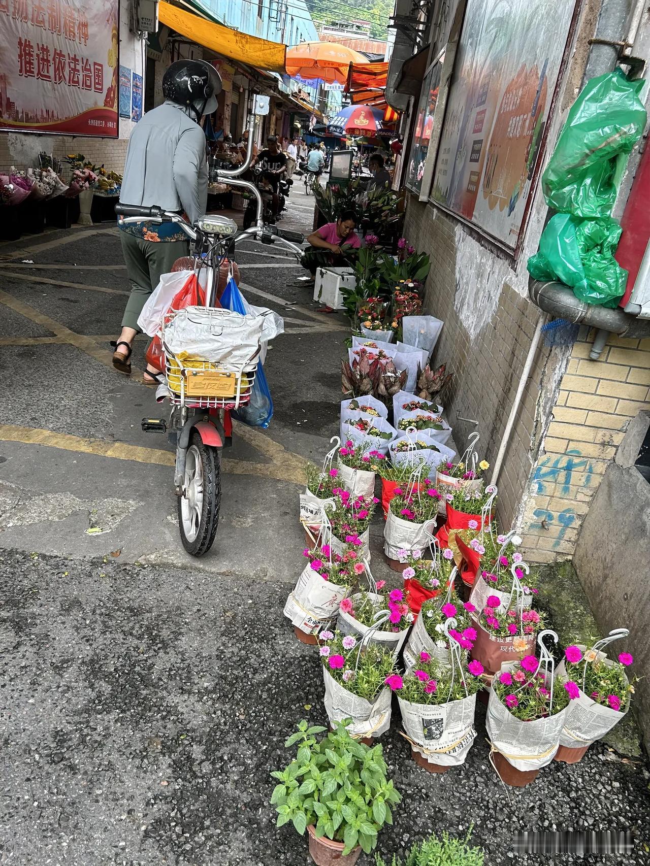 #分享一句杨绛先生的经典语录#
杨绛先生曾说过：“简朴的生活才是真正的奢侈。”这