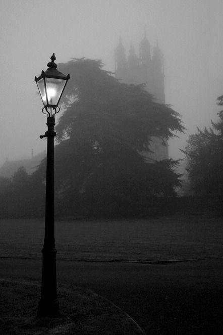 你的喧嚣和烟雾过后，所获的结果微不足道。一个城市变成木乃伊，一根雕像倾颓于烂泥，