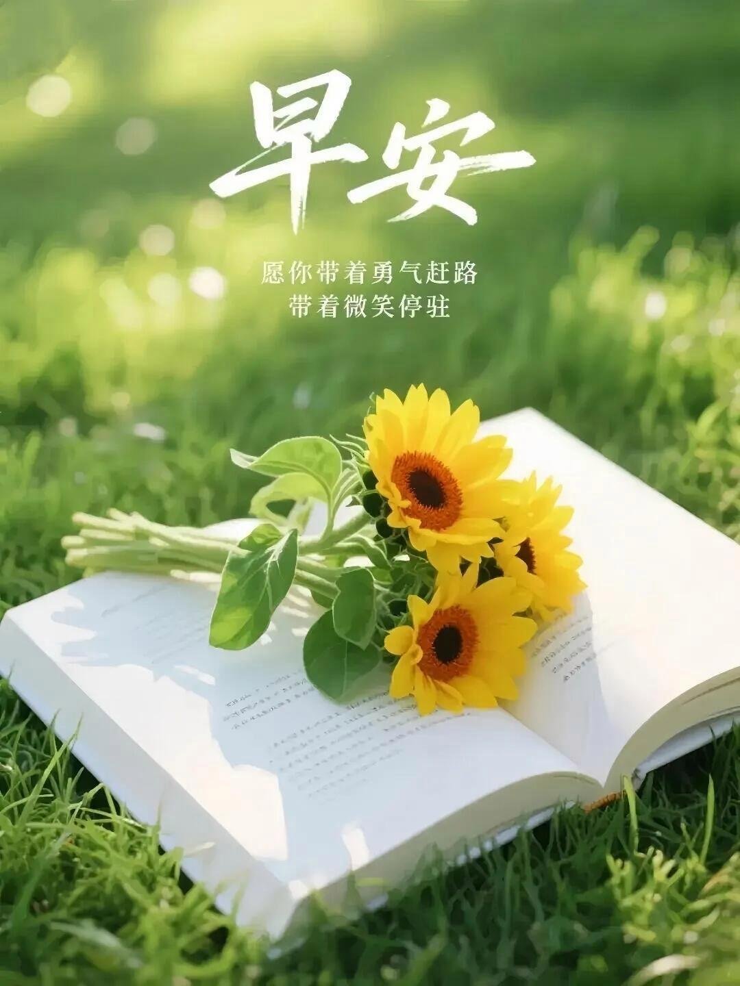 早安 所有美好，都不负归期，选一种姿态让自己活得无可替代，没有所谓的运气只有绝对