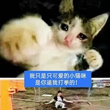 芋羽爱聊影视剧
