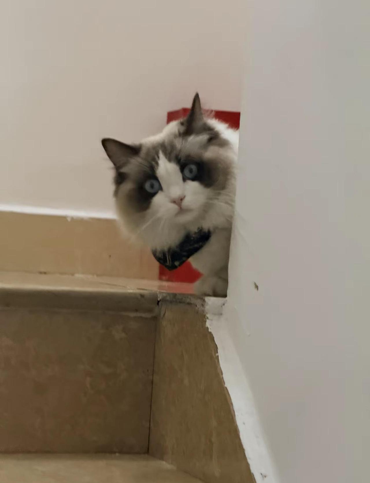 平安 是顶级的富贵局 别嫌日子沉闷 那不是平庸 是岁月静好新年快乐