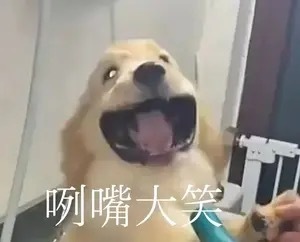 吴宣仪wxy吴宣仪演唱会 朋友们今天在忙碌之余，别忘了发一下帖子哇！这会儿发帖人