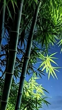 上联：笔墨人生香岁月，请诸位大神在空闲时间里，在评论区打出好的下联：？？？？？？