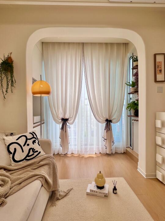 💰300+网购的客厅双层纱，安全下车