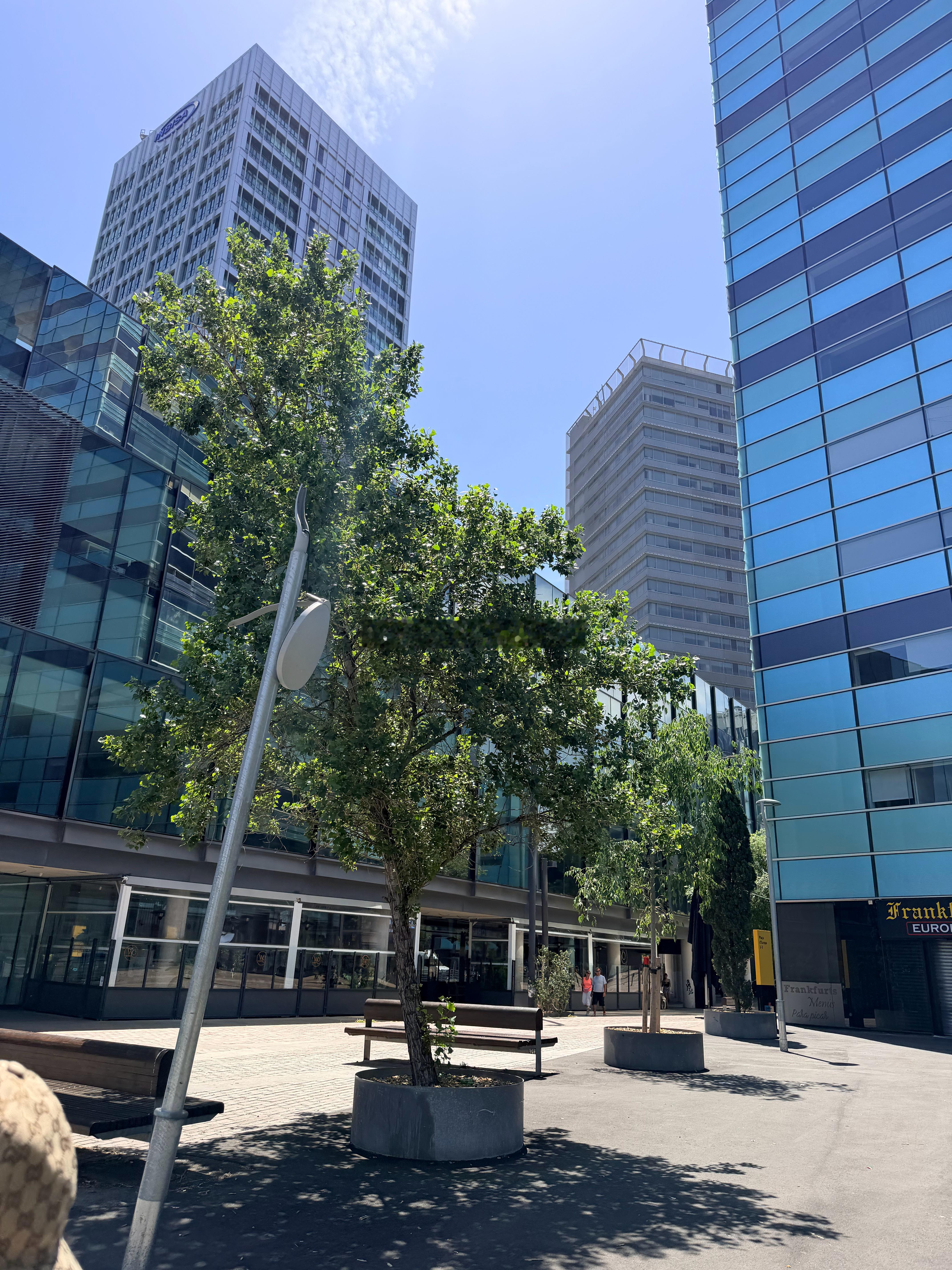 我和同学妈妈去喝一下咖啡她们住的地方是新的一片区域 