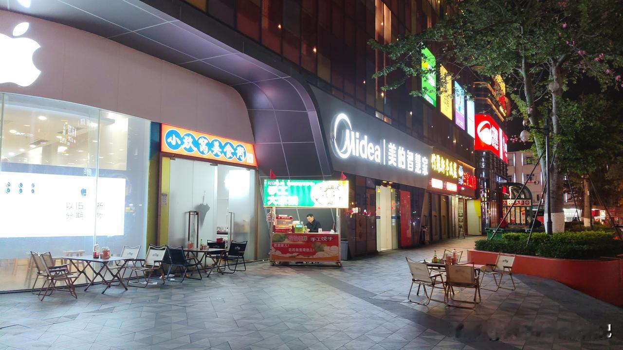 在东莞长安宵边大街夜市街，我点了份韭菜鸡蛋素馅饺子，12个竟收了18元，这价格比