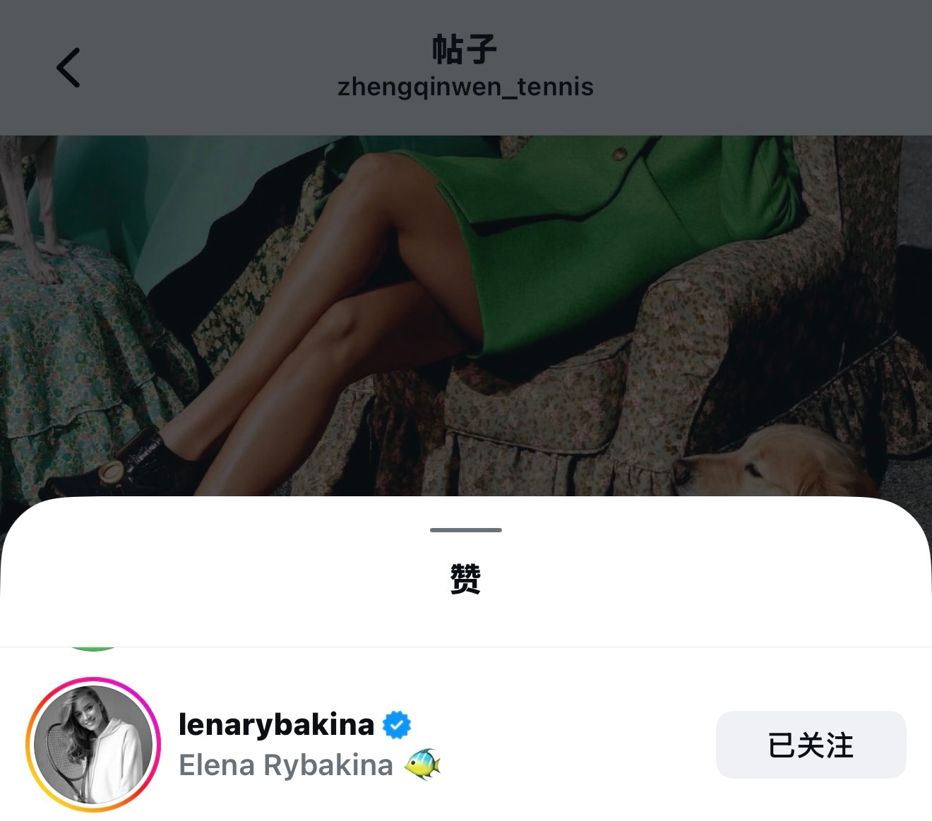 莱巴金娜和莱巴银娜(bushi，克鲁格也来点赞啦喜欢美女都是人之常情 