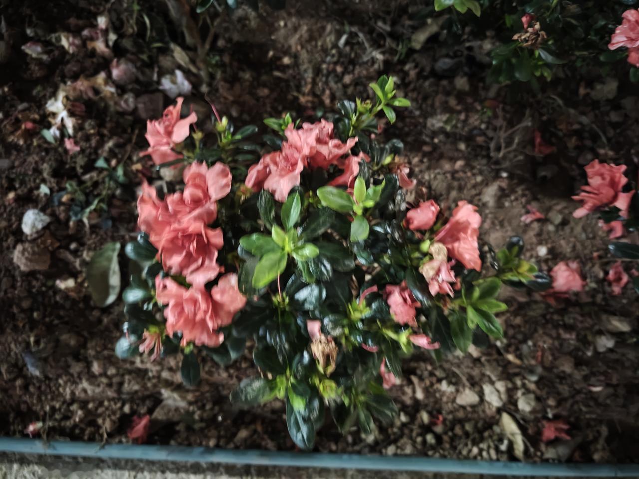 这两天连续在两位律师的直播连线里，听到两位小仙女的连线诉求，让人如鲠在喉。

连