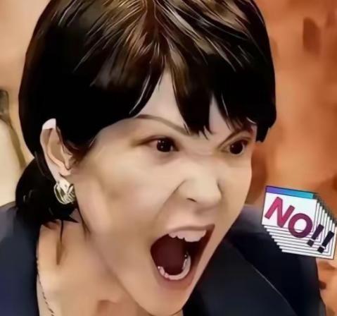 日本外交突然加码印太战略，高市早苗推动多国安全协作，试图打造区域对华压力体系，但