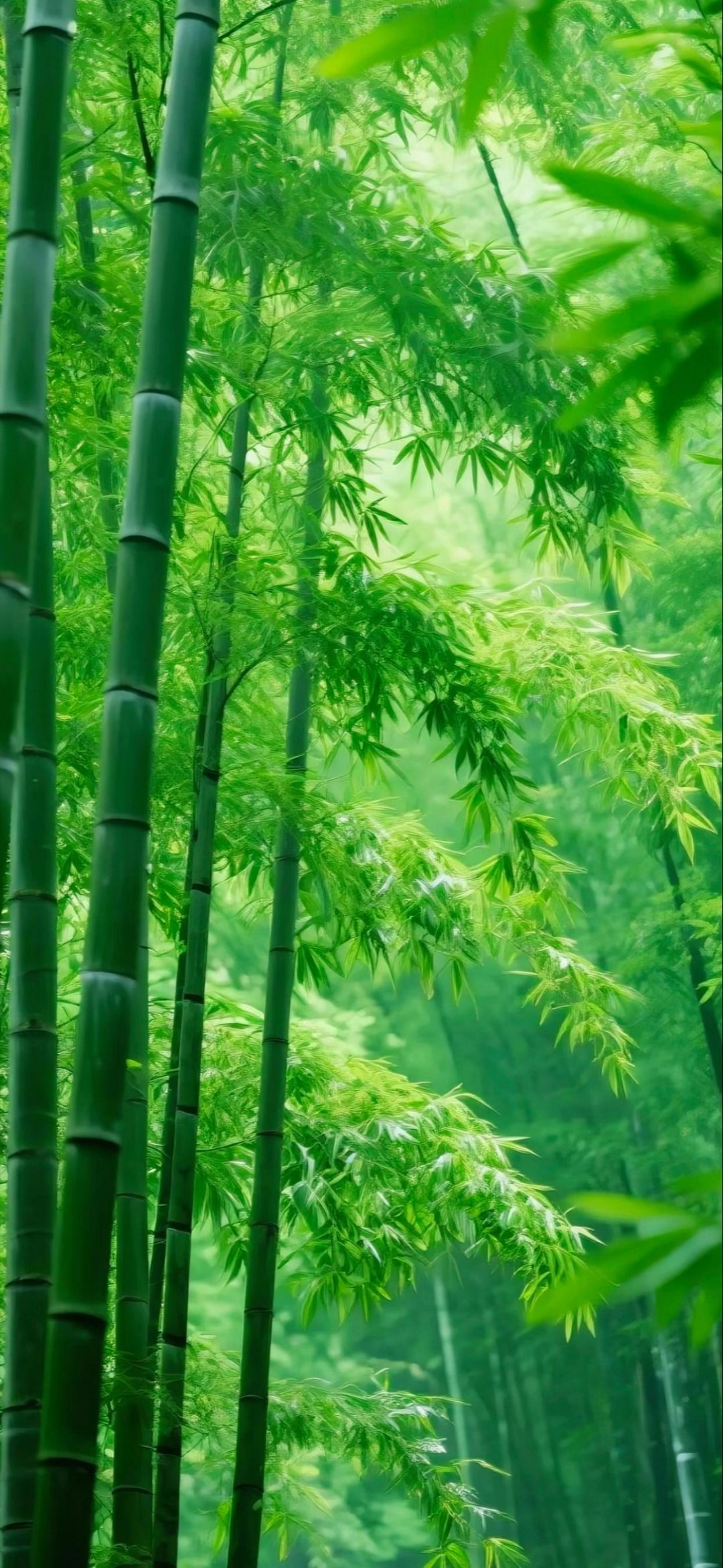 ‎每日一善阳光‬‬信用 过去的事，就让它过去吧，我们错过了昨日的日落，再也不能错