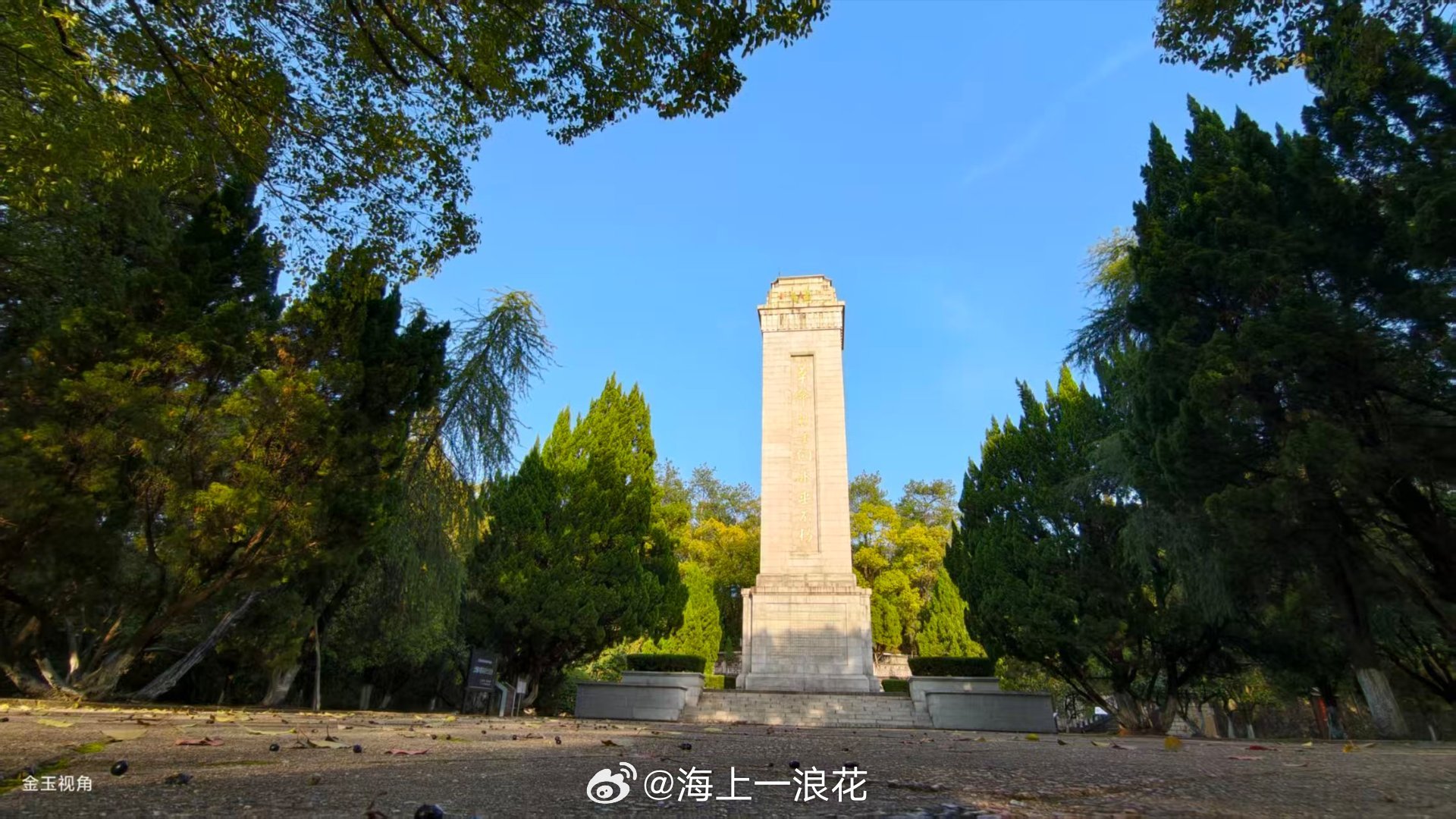 原来上饶的树替我们爱了烈士几十年 今天在网上看上饶，看到了最动人的一幕。烈士碑被