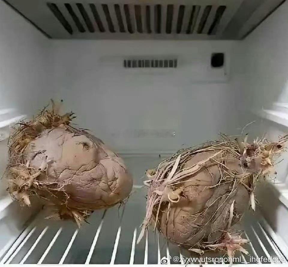 老一辈的就是节约，殊不知电费都比它们贵 