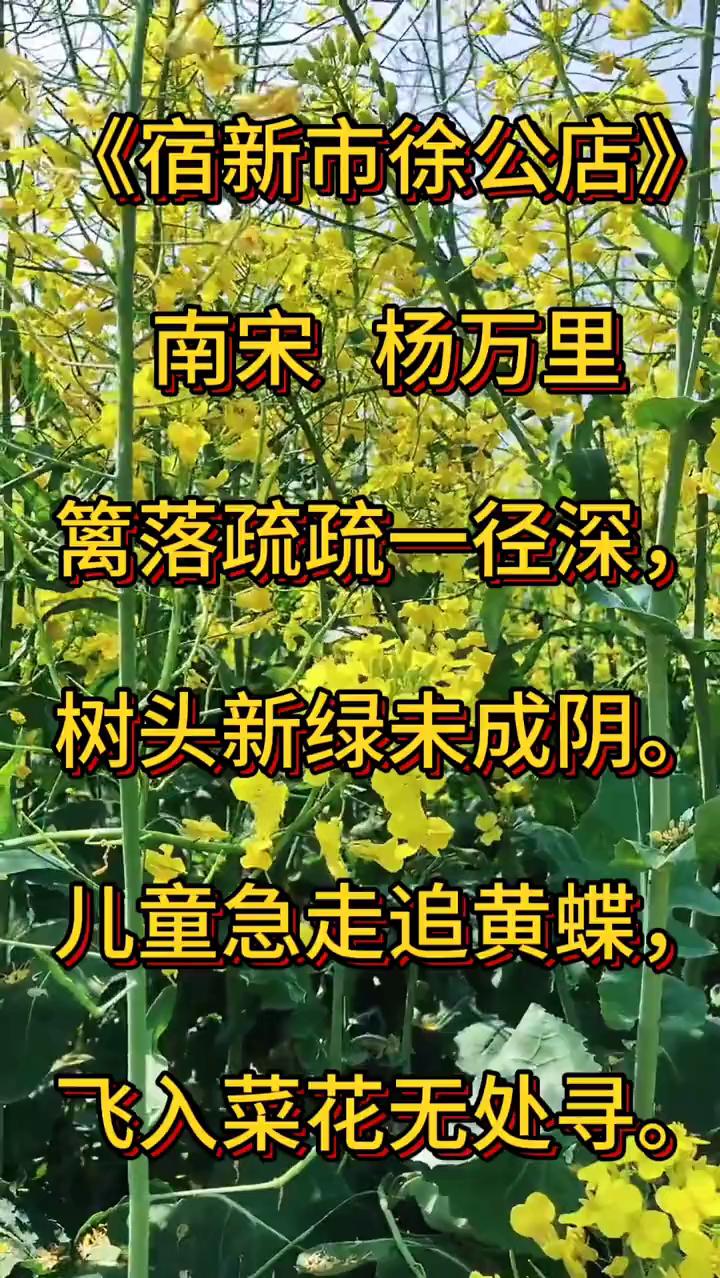 《宿新市徐公店》
南宋杨万里。
篱落疏疏一径深，树头新绿未成阴。
儿童急走追黄蝶