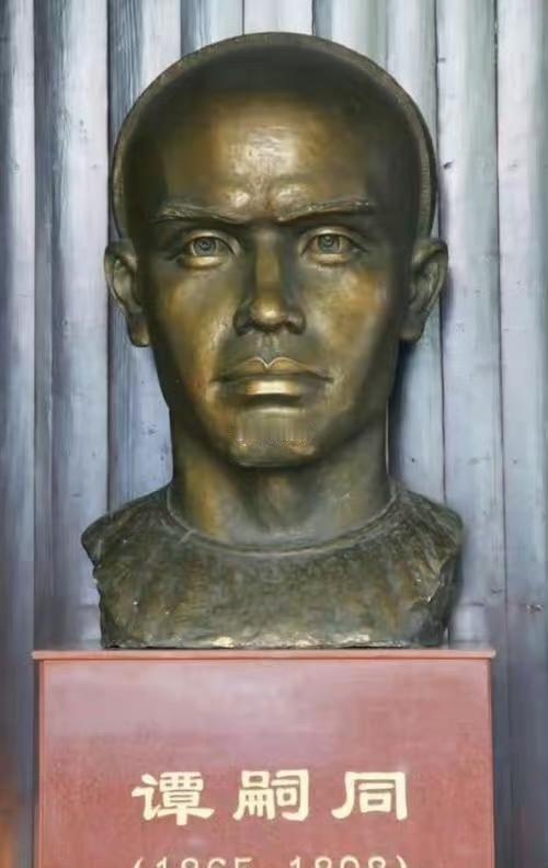 谭嗣同父亲是封疆大吏，谭嗣同有两个学生，一个是蔡锷，还有一个就是杨昌济。蔡锷有个