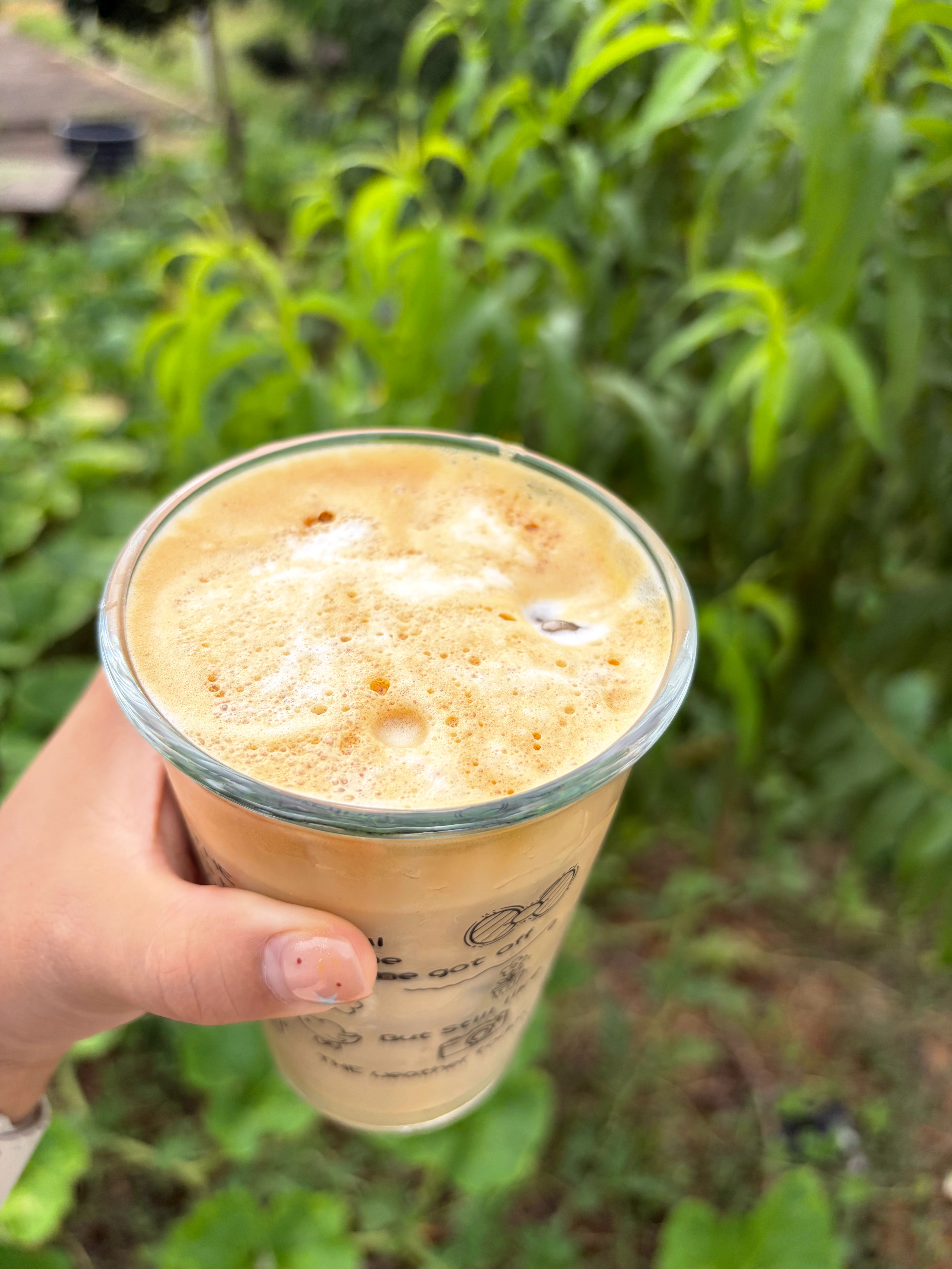 广州一奶茶店复售退单近4小时奶茶白海豚我承认你有点厉害了台风白海豚过境迪士尼变水
