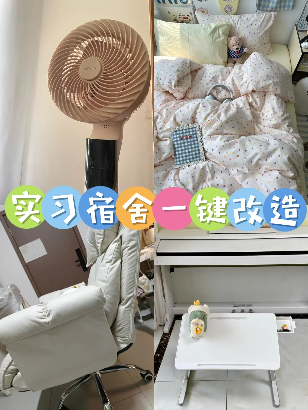 猫猫实习宿舍一键改造