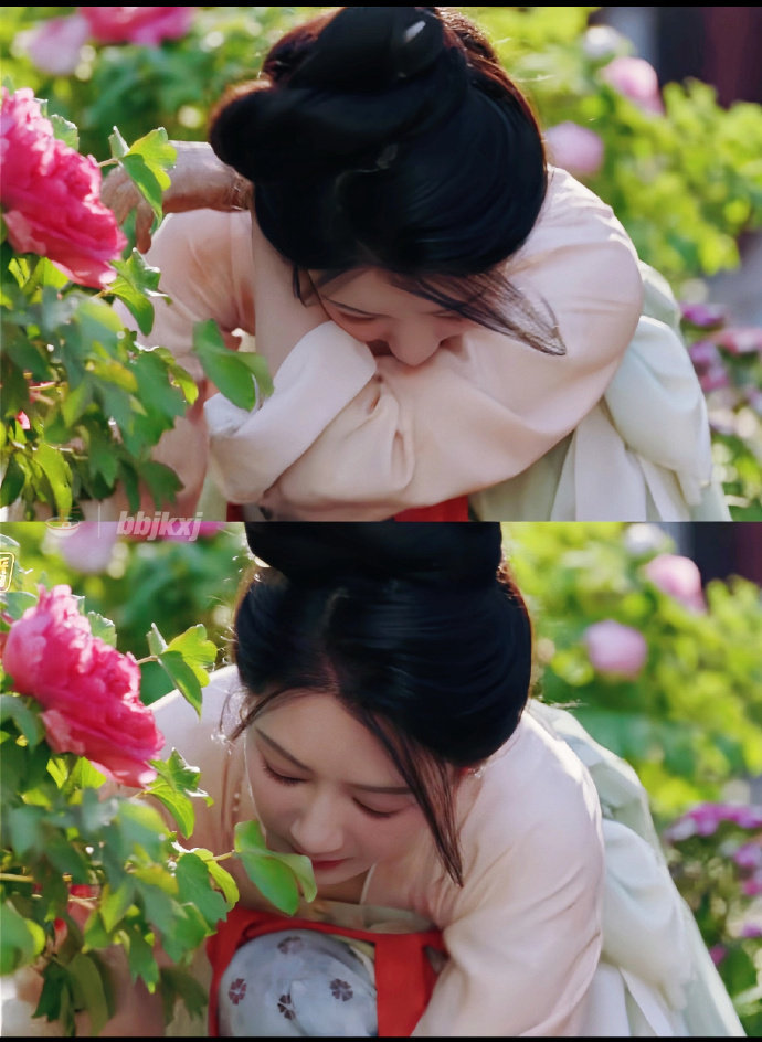 国色芳华我想看女主每天埋头苦干种牡丹，卖牡丹，所有人都要以她的牡丹为重。 