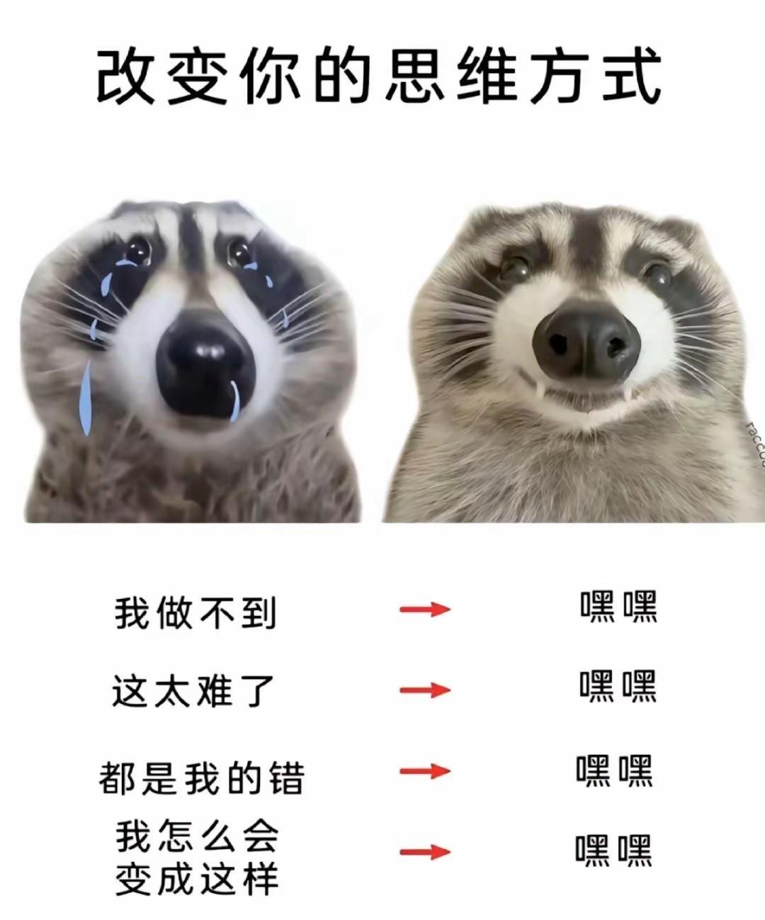 转变你的思维方式！！！ 梗图 梗图挑战