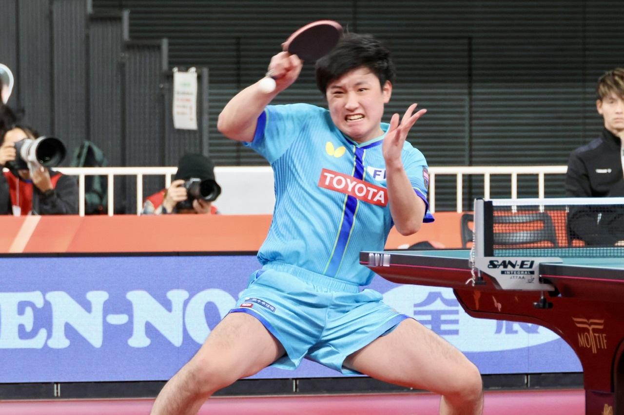 张本智和张本智和2026全日本乒乓球锦标赛 男单1/4决赛图片📷P1-3: c