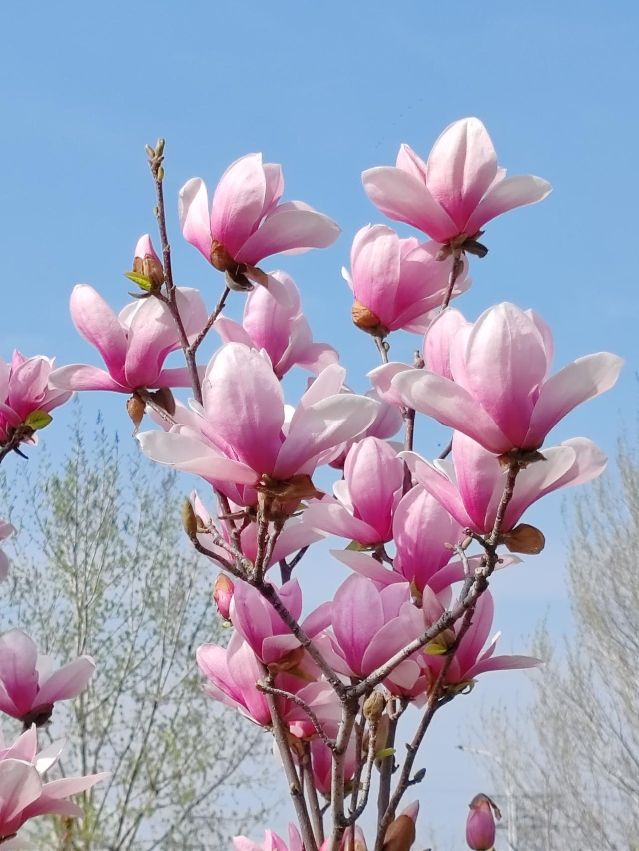 真是人生的金玉良言👏