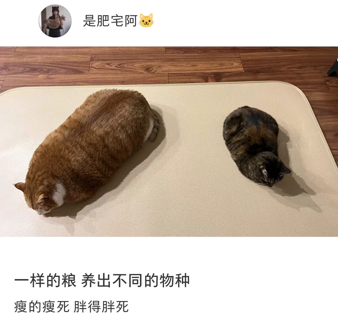 一样的粮养出不同的物种 ​​​
