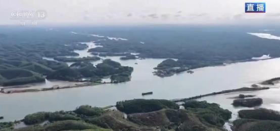 广西人等了半个多世纪的“江海直通梦”，终于要在2026年9月实现了。
134.2
