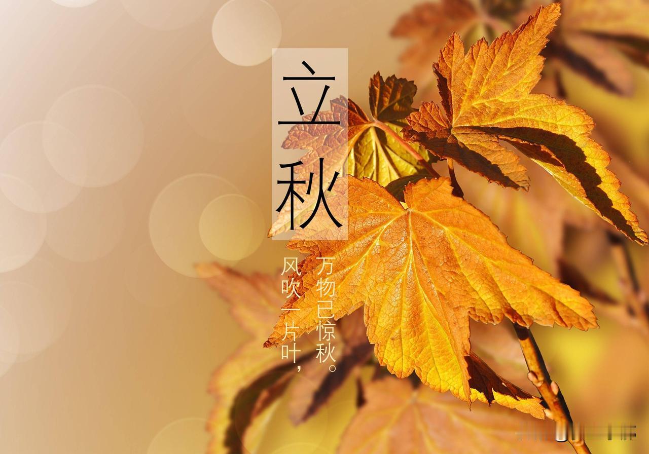 立秋将至，今年的立秋，是公秋还是母秋？早看早知道
 
老一辈种地人都流传一句老话