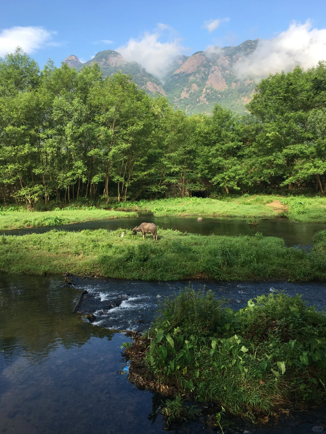 来打禅七了。姐妹们。 止语，不看手机，一个星期后见。