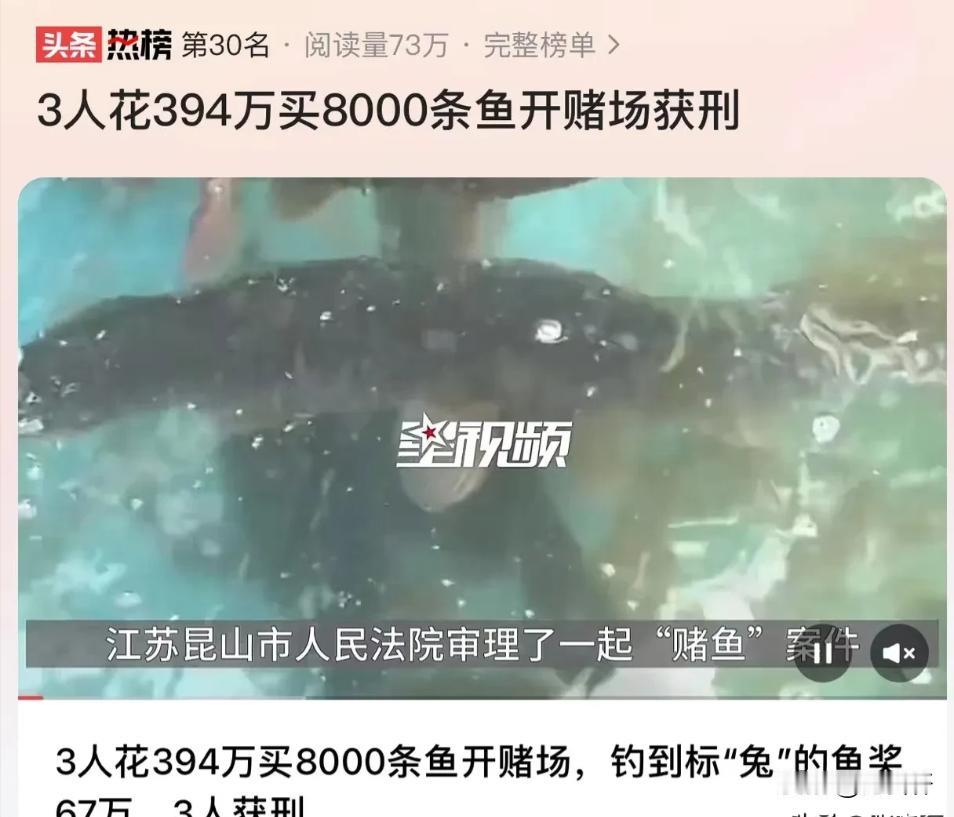 不懂法吃大亏！江苏昆山，3 人花 394 万买了 8000 条鱼开钓鱼场。为了吸