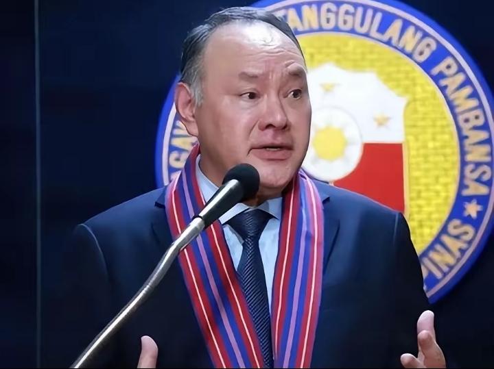 被中国制裁的菲律宾防长特奥多罗罕见谈及台湾问题！
特奥多罗声称：“应由我们来定义