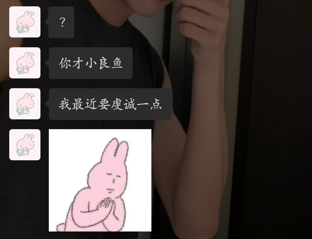 呼噜到底要干嘛 