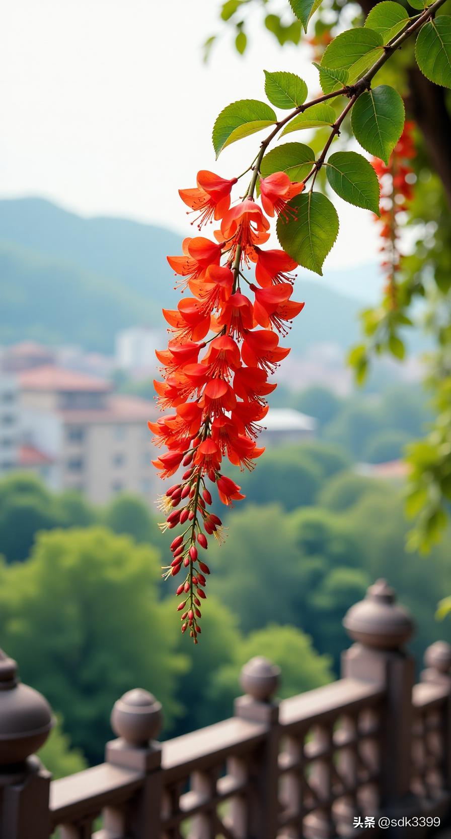 分享我心中最美的壁纸！有那种浅灰肌理裹着软润褶皱的，烟岚漫开后，城廓与烟火撞进留