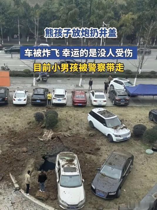 小孩炸化粪池，车辆赔偿结果出来了，真是天壤之别！最新官方报道，其中共涉及三家保险