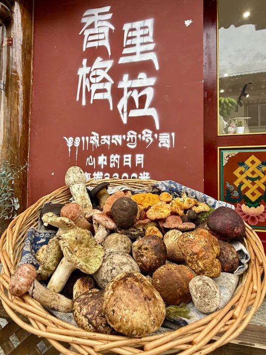 人生建议：去香格里拉一定要吃的菌汤火锅