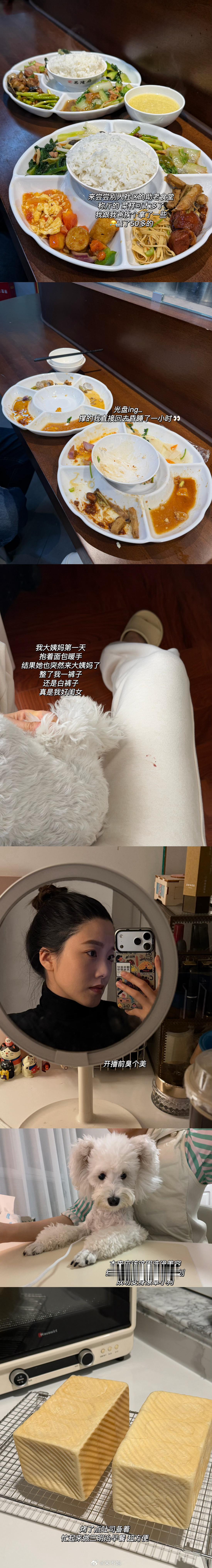 生活碎片 plog.261 