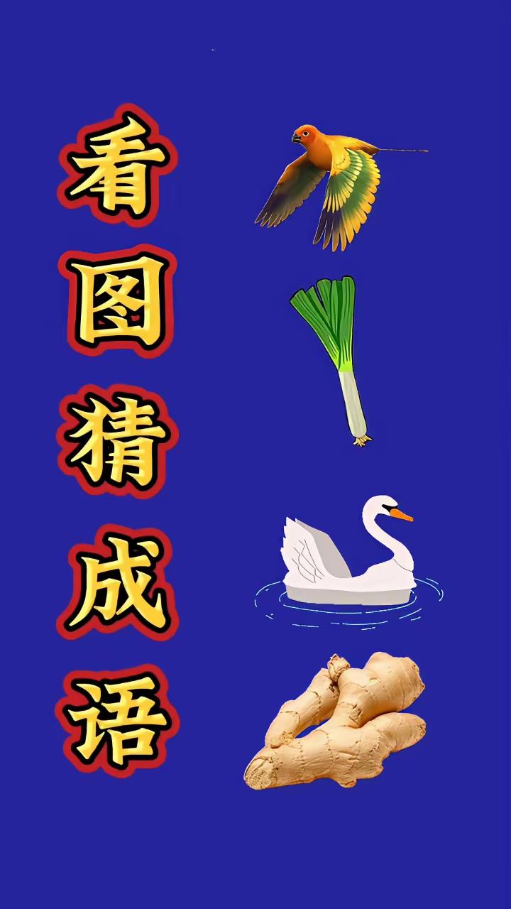 周末喜相逢，成语具象游。谈笑风生间，能者任我行。[送自己一朵花][送自己一朵花]